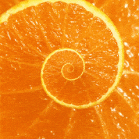 spiral orange.gif