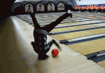 ResizedP_giphy-1_57827392945785.gif