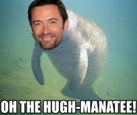 hugh manatee.jpg