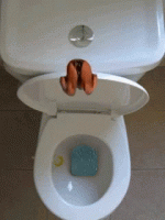 1574735164836.gif