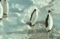0C50FEE8-3D80-4C5C-A5E4-2F3CF036EF65.gif