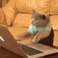 1575176224993.gif