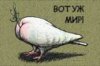 zhopa.jpg