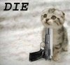 Kentucky suicidal kitty.jpg
