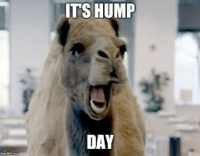 HumpDay.png