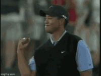 1576252097334.gif