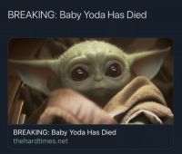 hard-drive-harddrivemag-breaking-baby-yoda-has-died-breaking-baby-65754111__01.png