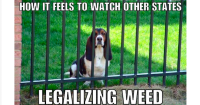 13684F41-C570-4150-9B8A-9354CA12C586.png