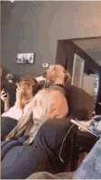20B78925-6096-4A8E-8CE1-B10F37348A3D.gif