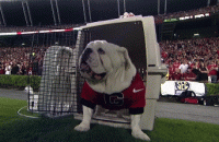 7AE3D632-A53C-4695-8981-8F29D4B98423.gif