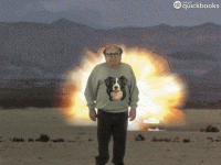 giphy (1).gif