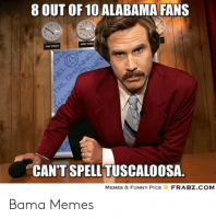 8-out-of-10-alabama-fans-cant-spell-tuscaloosa-memes-52993828.png