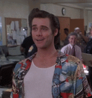 1577165086489.gif