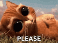 1577252286245.gif