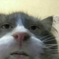 thumb_buttface-alex-benedith-48083734.png