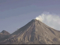 1577362551091.gif