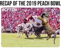 peach bowl.jpg