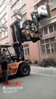 AccurateGrayBobcat-size_restricted.gif