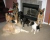 000 2008-12-29 pack photo.jpg