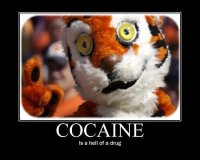 picture.jpg