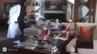 FCA8AF17-975C-40C9-AC17-8EB113918BC7.gif