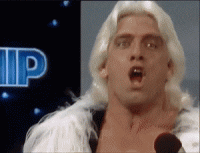 ThoroughTameBonobo-max-1mb.gif