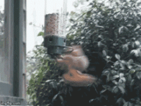 9376AFD5-C05C-4ADB-81A4-5624C6063E6E.gif