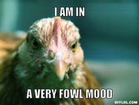 angry-chicken-meme-generator-i-am-in-a-very-fowl-mood-1011b3.jpg