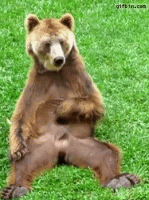 giphy (20).gif