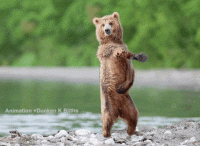 giphy (19).gif