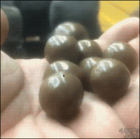 1584225021007.gif