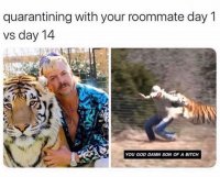 tiger-king-memes-funny-3-29-20-7.jpg