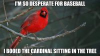 FB_IMG_1586112169822.jpg