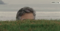 9DCCADC1-384D-445C-9CEF-56079AF66051.gif