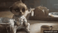 1588163123951.gif