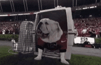 2FBF8979-B65B-449C-849D-A0C7A54293B2.gif