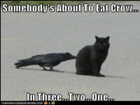 somebodys-about-to-eat-crow-in-threetwoone.png