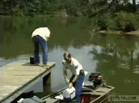 GoodIcyHoneycreeper-size_restricted.gif