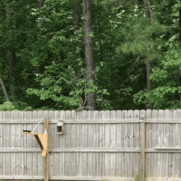 1589036372741.gif