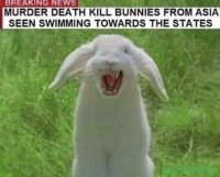 AD6F7C2C-3646-4C9A-AABC-ED21C5E88AB6.jpeg