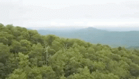 5243D9BF-3FC0-4865-B1EA-FA83D83C5101.gif