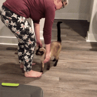 1594013688511.gif
