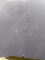20200713_074741.jpg