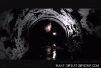 3136E14B-C621-4DA3-A831-E50D94998915.gif