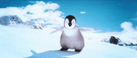 tenor.gif