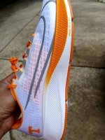IMG_20200828_150934.jpg