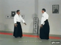 gif-6_orig.gif