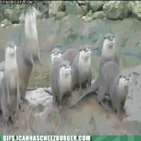 otter-assembly.gif