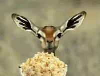 1599955984175.gif