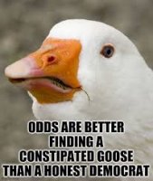 Goose_facts.jpg